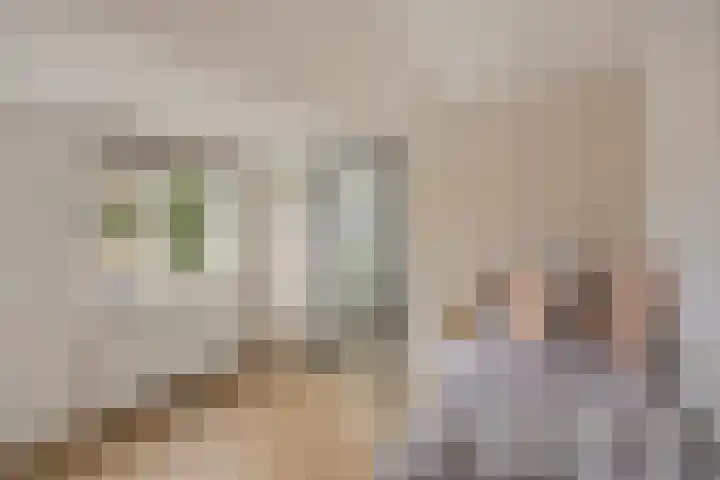 Bisschopsweg 117 Amersfoort thumbnail 19