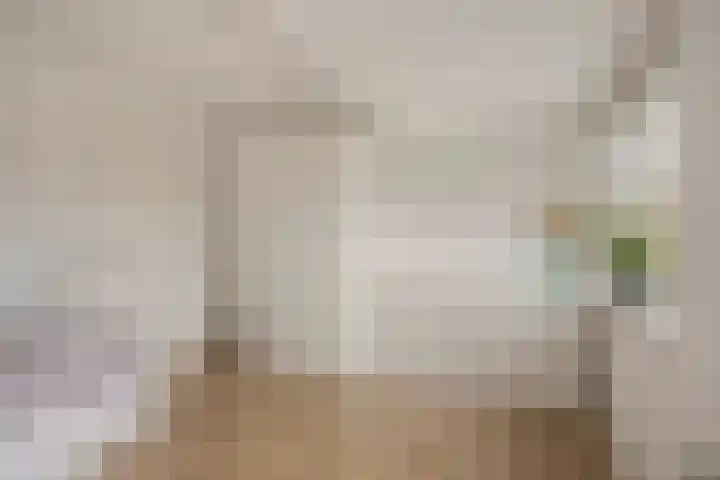 Bisschopsweg 117 Amersfoort thumbnail 20