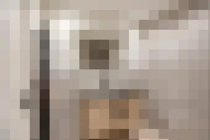 Bisschopsweg 117 Amersfoort thumbnail 21