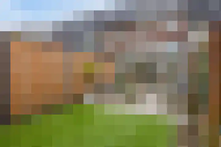 Bisschopsweg 117 Amersfoort thumbnail 30