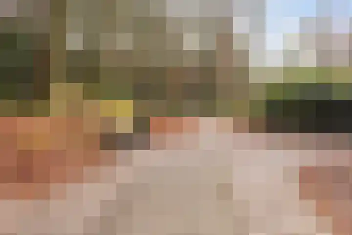 Bisschopsweg 117 Amersfoort thumbnail 33