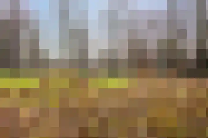 Bisschopsweg 117 Amersfoort thumbnail 34