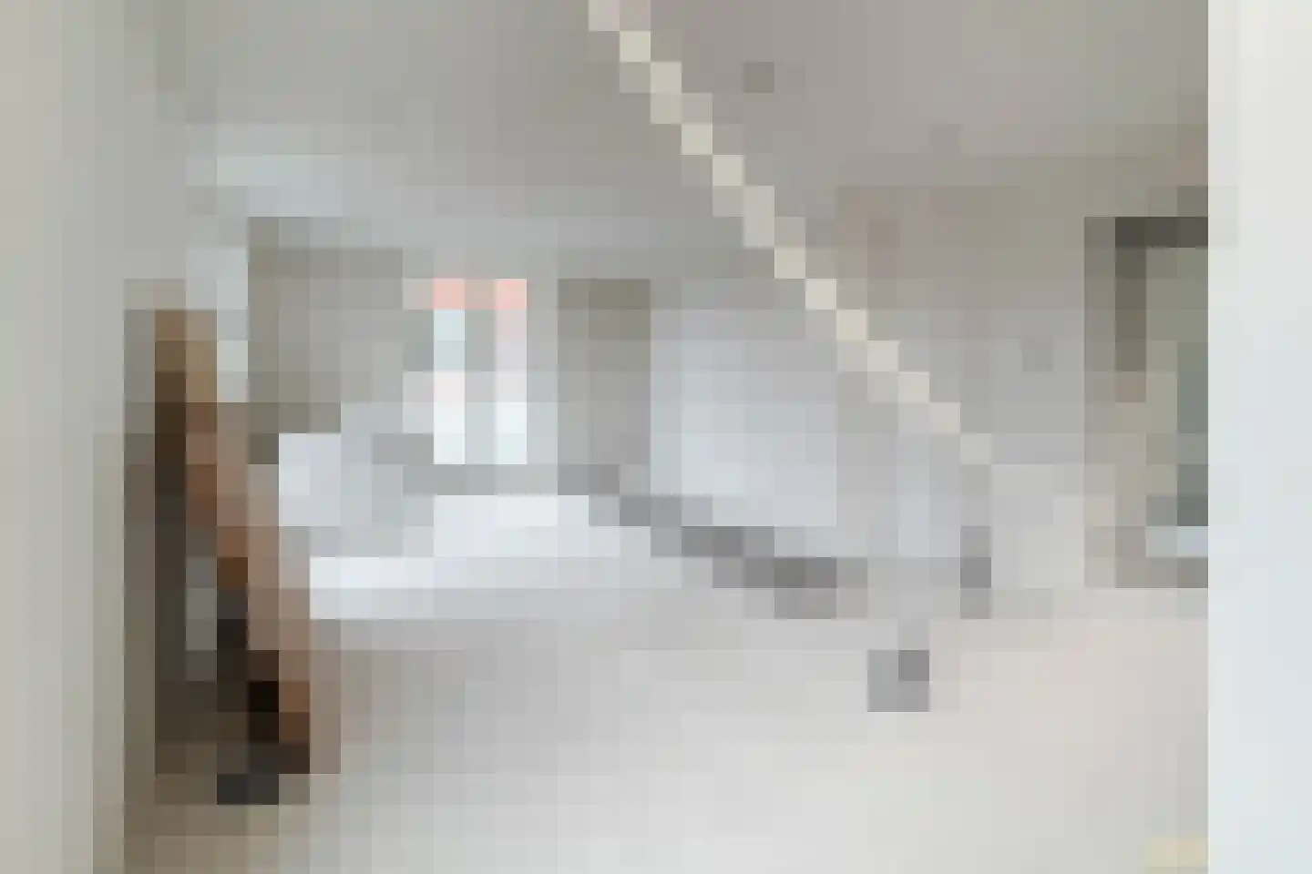 Bisschopsweg 132 D Amersfoort foto 3