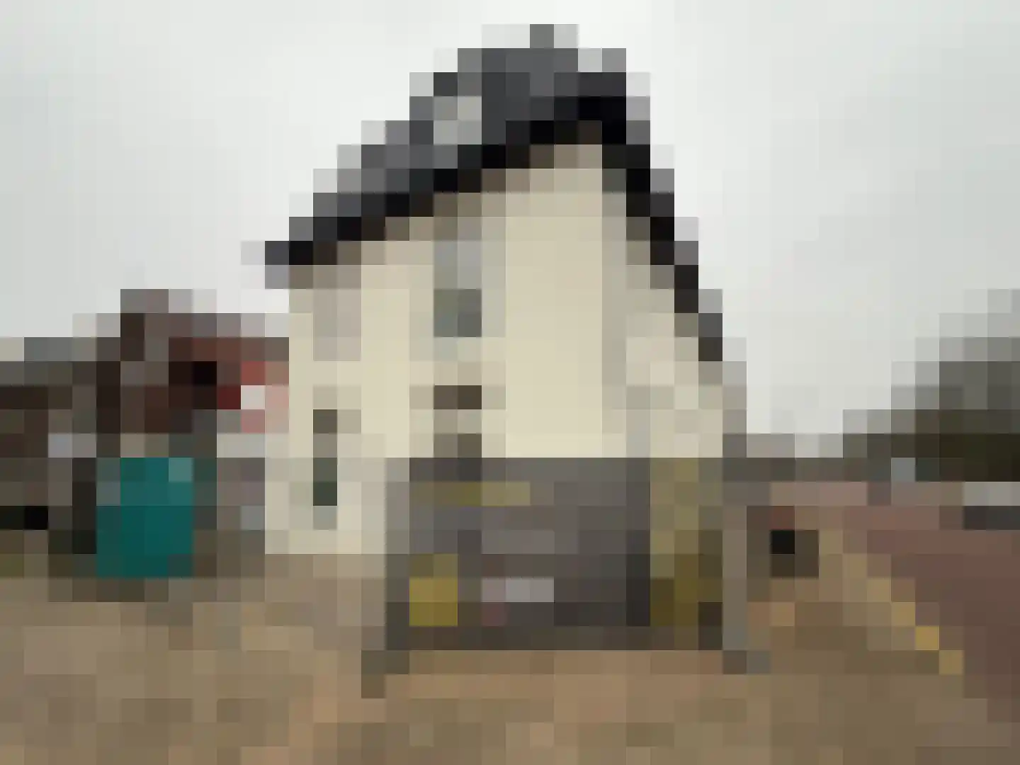 Bisschopsweg 132 D Amersfoort thumbnail 7