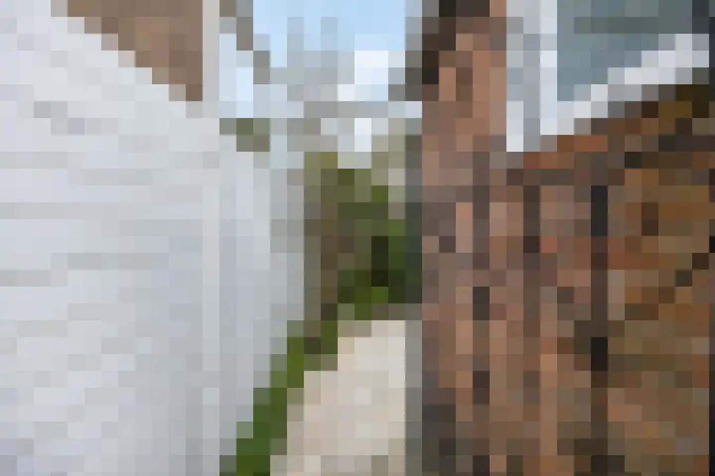 Bisschopsweg 162 Amersfoort thumbnail 41