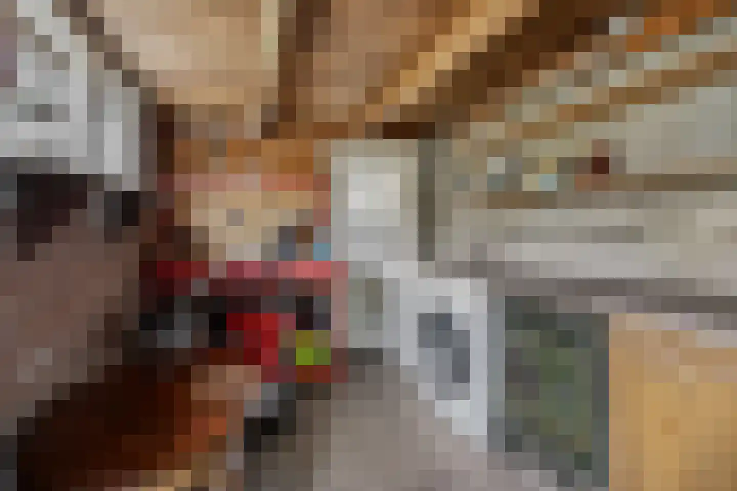 Bisschopsweg 162 Amersfoort thumbnail 42