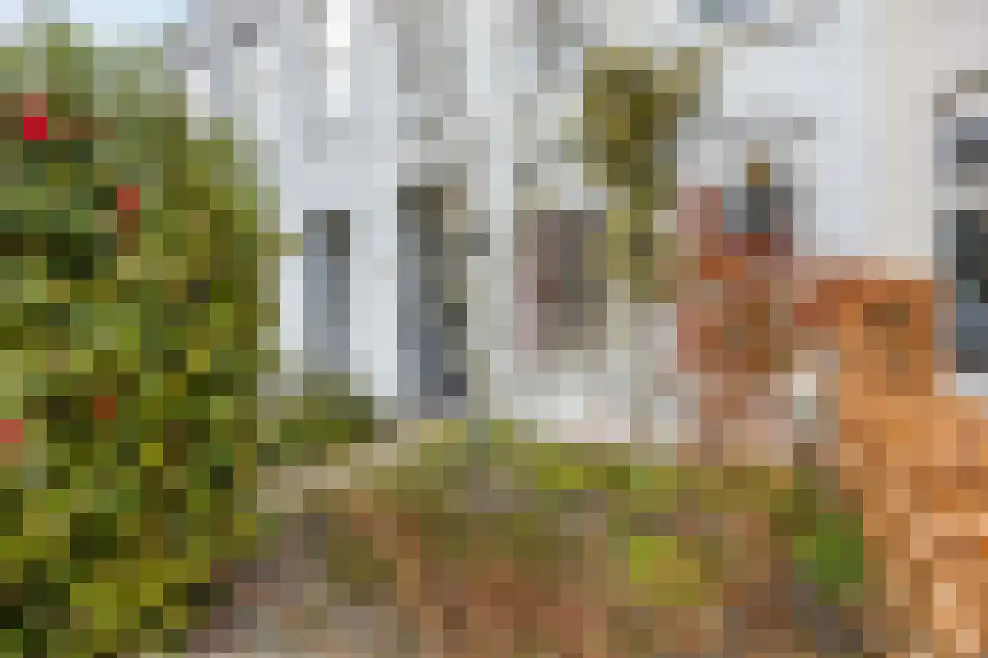 Bisschopsweg 162 Amersfoort thumbnail 43