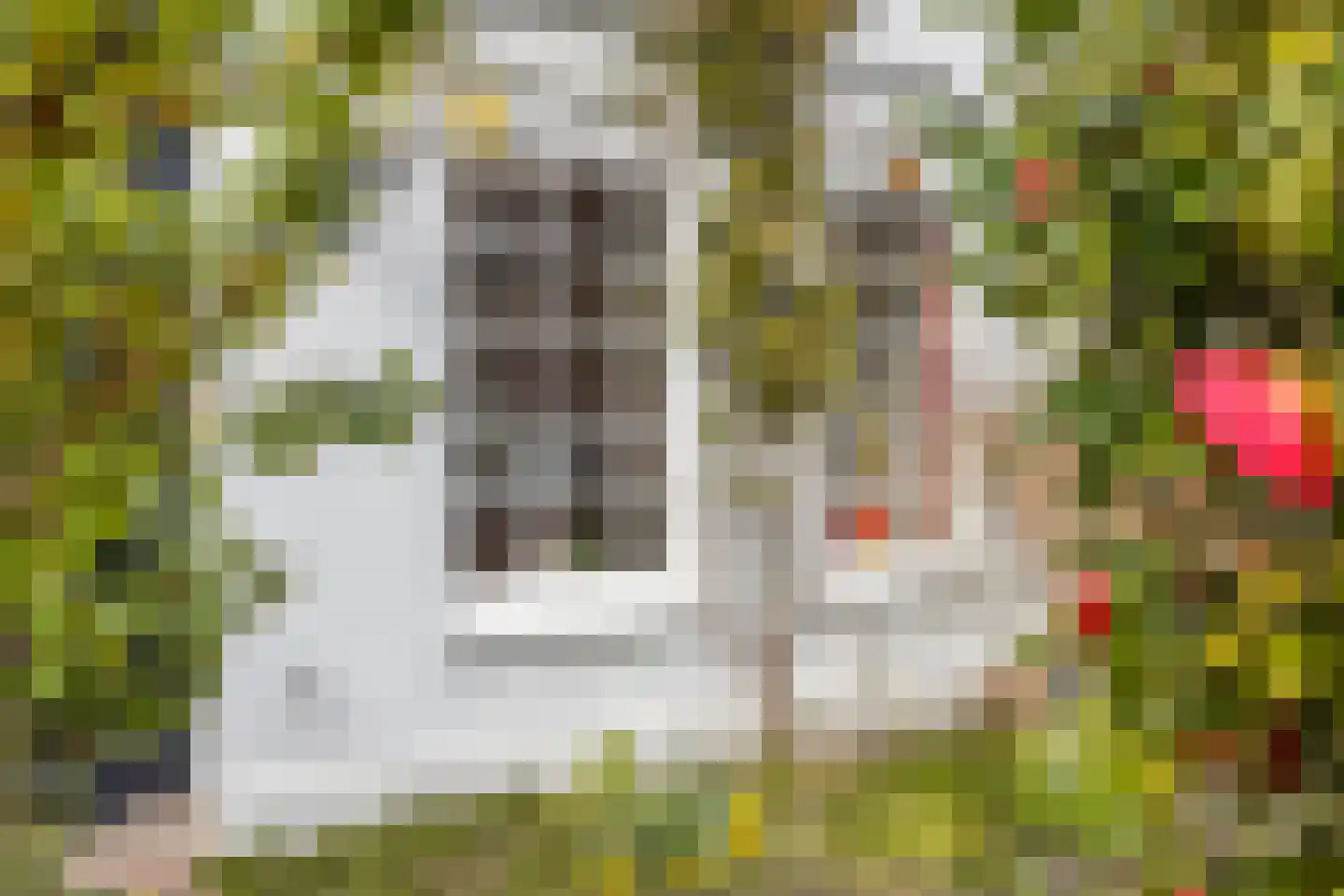 Bisschopsweg 162 Amersfoort thumbnail 44