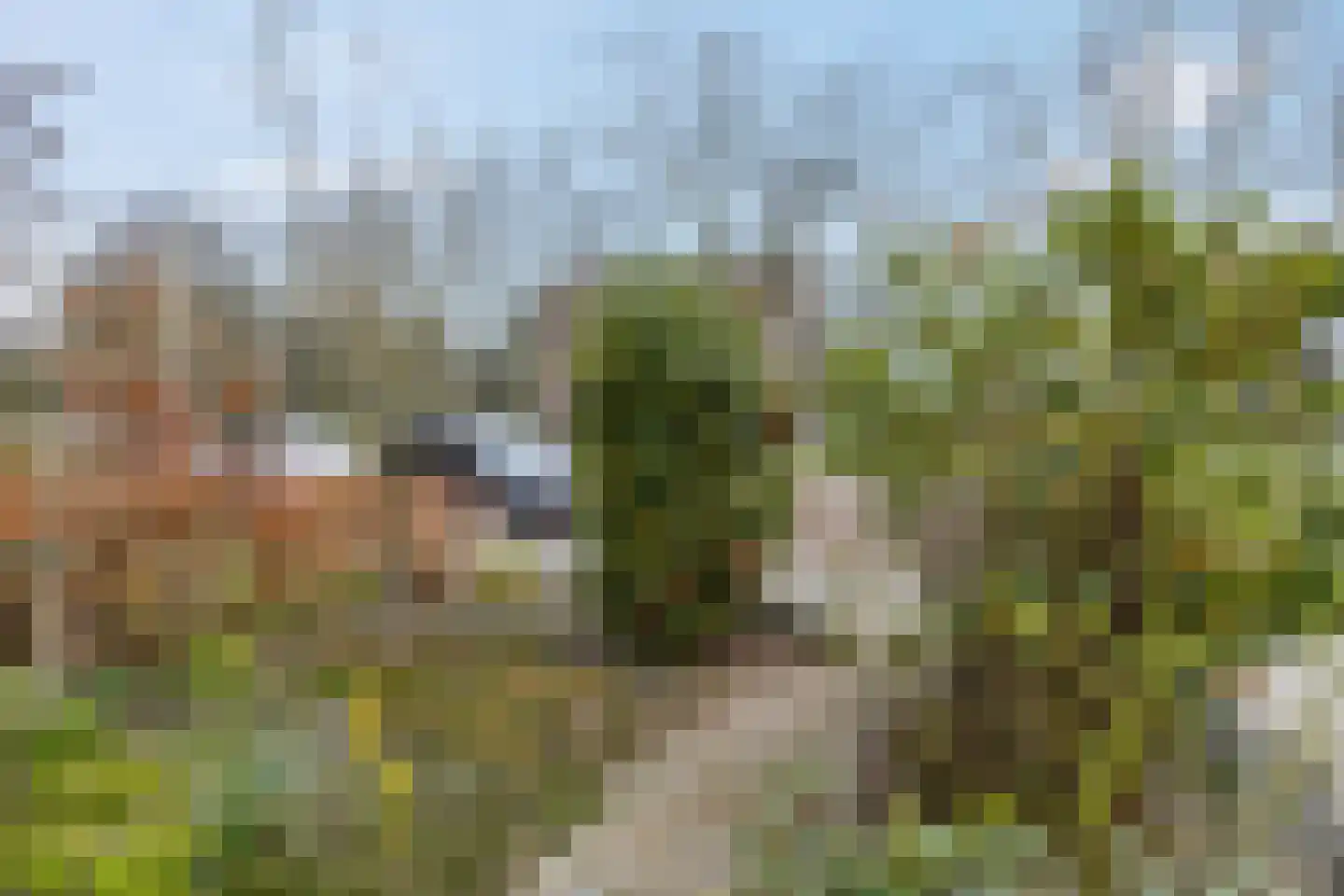 Bisschopsweg 162 Amersfoort thumbnail 45