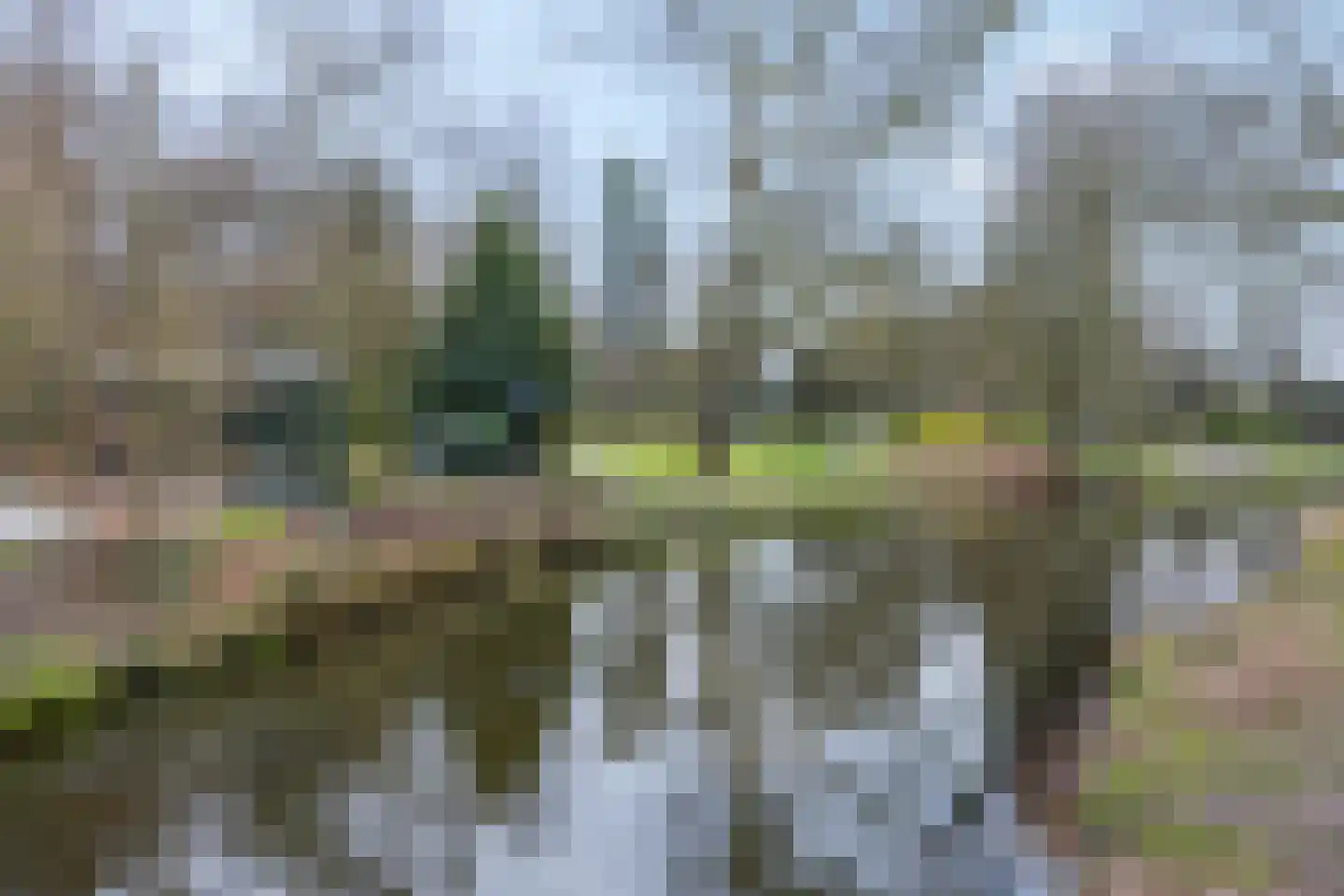 Bisschopsweg 162 Amersfoort thumbnail 50