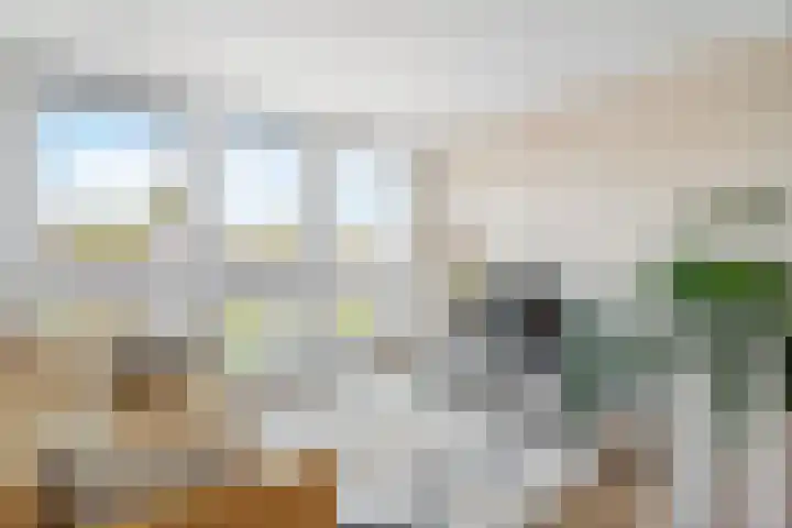 Bisschopsweg 17 Amersfoort thumbnail 25