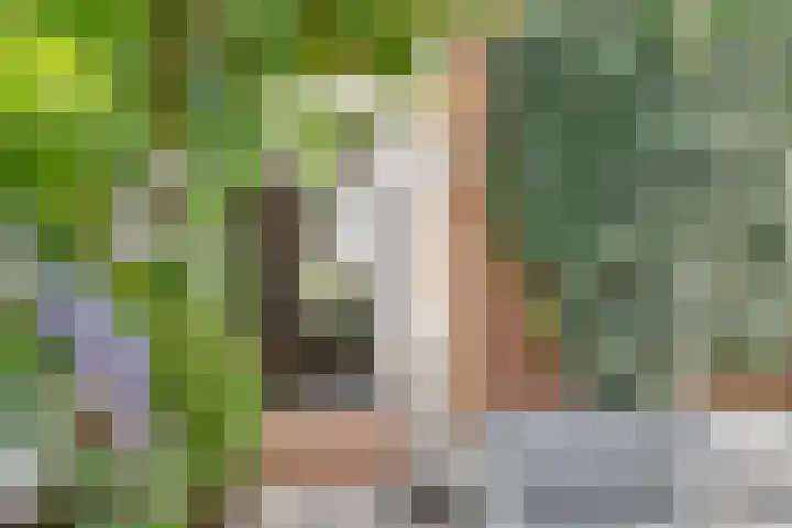 Bisschopsweg 17 Amersfoort thumbnail 31