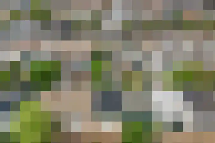 Bisschopsweg 17 Amersfoort thumbnail 37