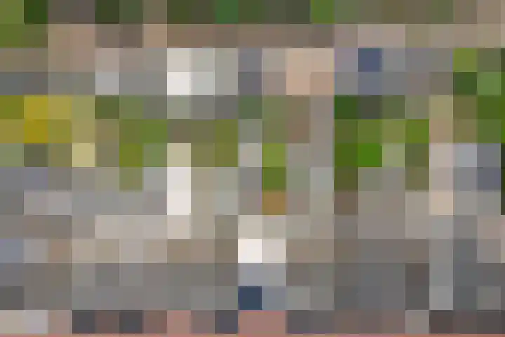 Bisschopsweg 17 Amersfoort thumbnail 38