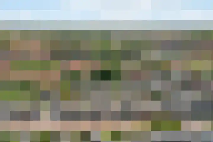 Bisschopsweg 17 Amersfoort thumbnail 40