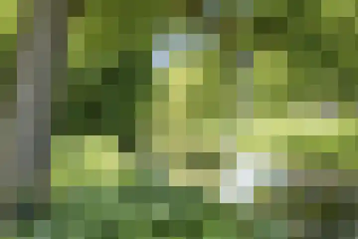 Bisschopsweg 17 Amersfoort thumbnail 44