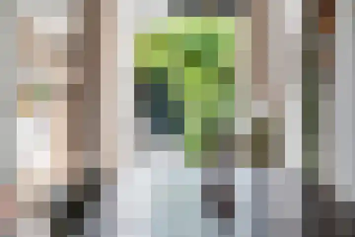Bisschopsweg 17 Amersfoort thumbnail 7