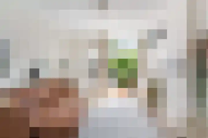 Bisschopsweg 17 Amersfoort thumbnail 8