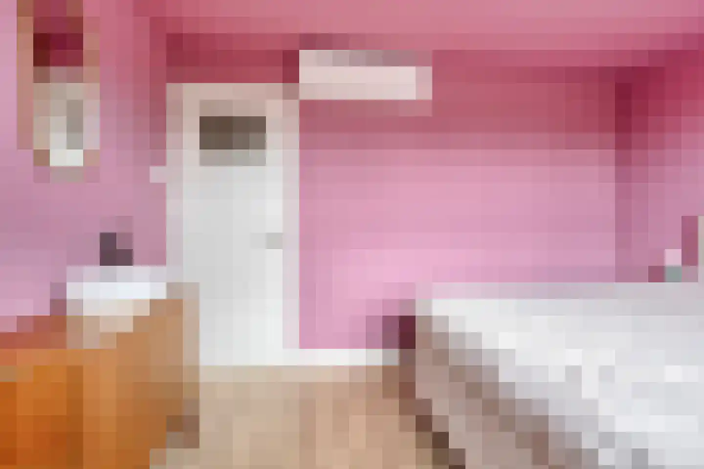 Bisschopsweg 22 Amersfoort thumbnail 20