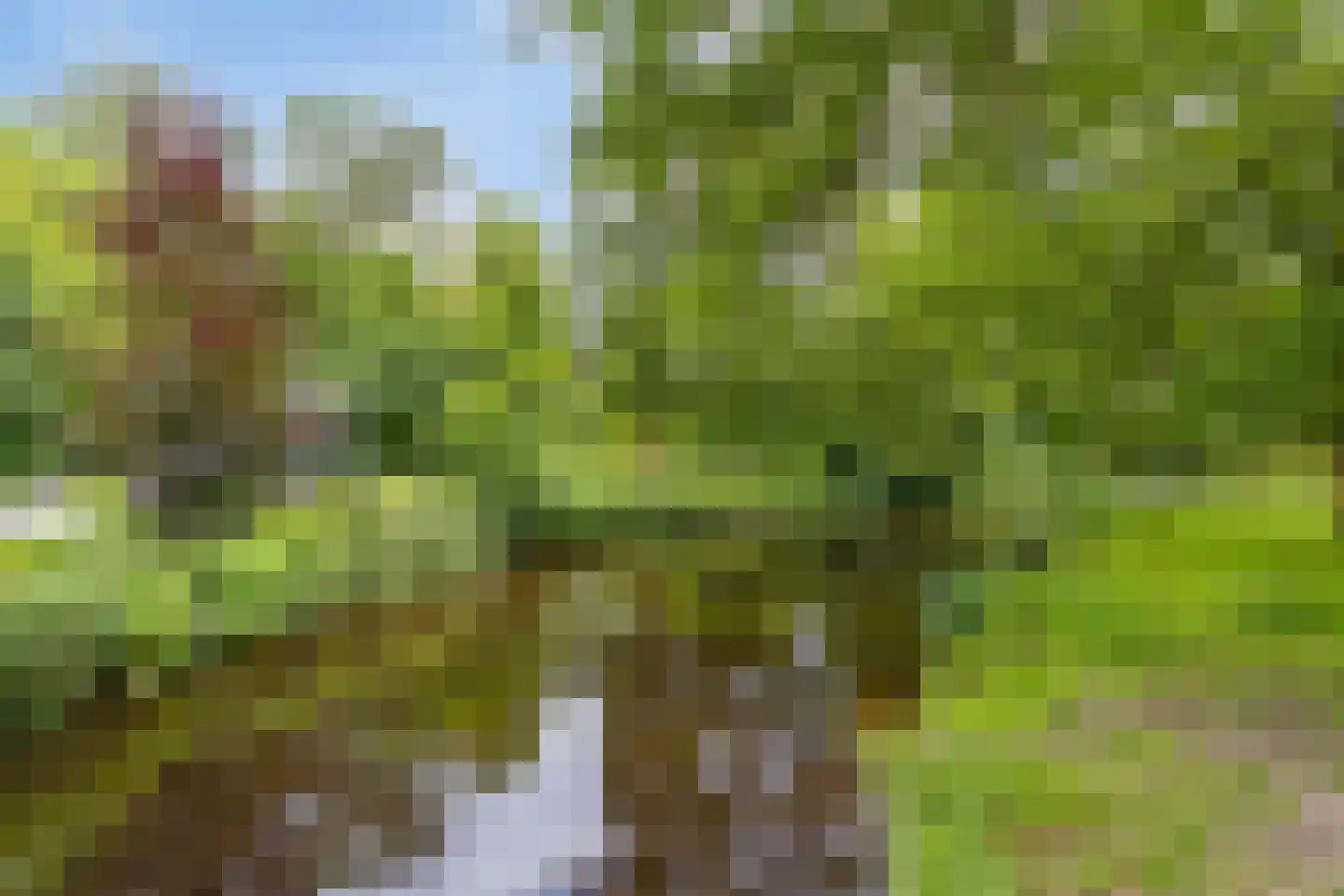 Bisschopsweg 22 Amersfoort thumbnail 31