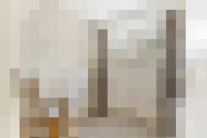 Bisschopsweg 228 Amersfoort thumbnail 18