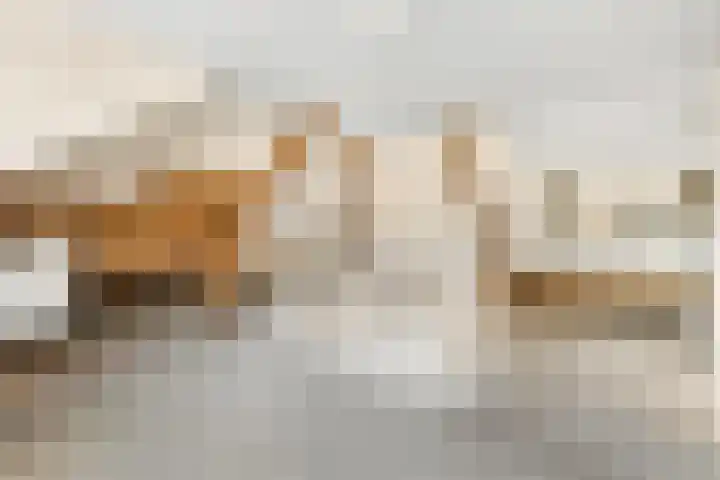 Bisschopsweg 228 Amersfoort thumbnail 23