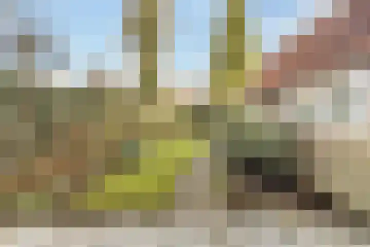 Bisschopsweg 228 Amersfoort thumbnail 25