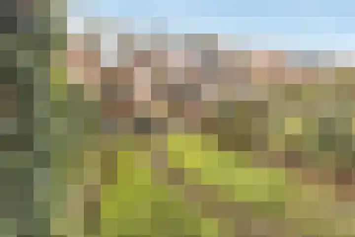 Bisschopsweg 228 Amersfoort thumbnail 27