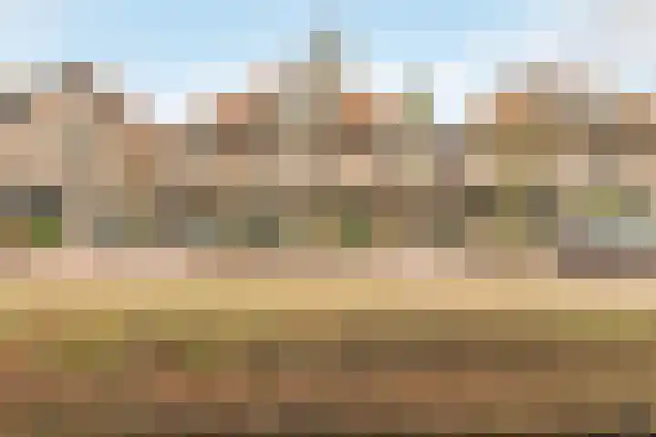 Bisschopsweg 228 Amersfoort thumbnail 28
