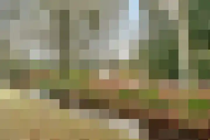 Bisschopsweg 228 Amersfoort thumbnail 29