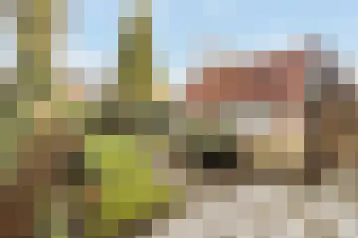 Bisschopsweg 228 Amersfoort thumbnail 5