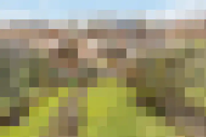 Bisschopsweg 228 Amersfoort thumbnail 6