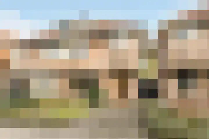 Bisschopsweg 228 Amersfoort thumbnail 7