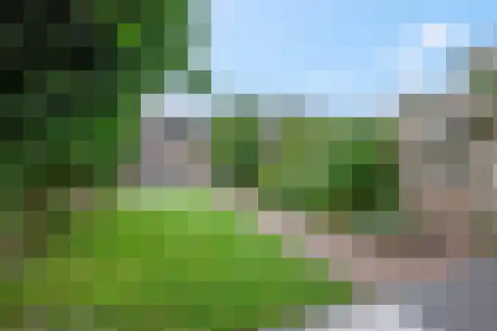 Bisschopsweg 34 Amersfoort thumbnail 25