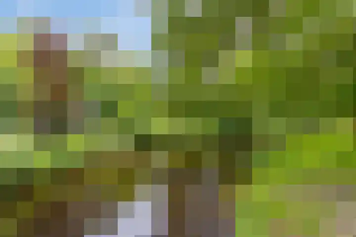Bisschopsweg 34 Amersfoort thumbnail 28