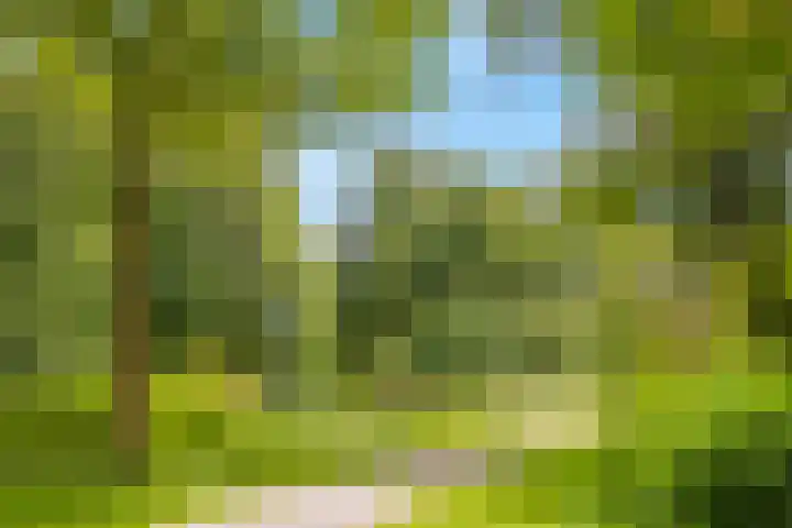 Bisschopsweg 34 Amersfoort thumbnail 29