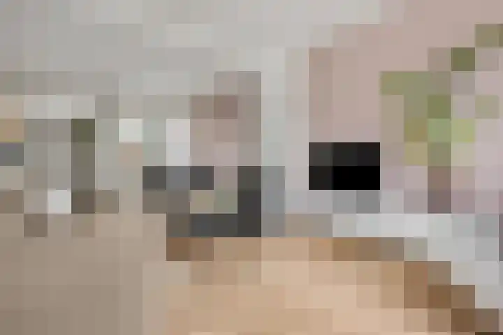 Bisschopsweg 34 Amersfoort thumbnail 5