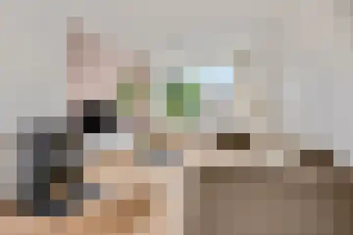 Bisschopsweg 34 Amersfoort thumbnail 6
