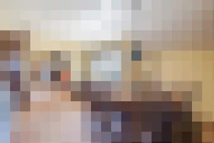 Bisschopsweg 35 Bourtange thumbnail 12