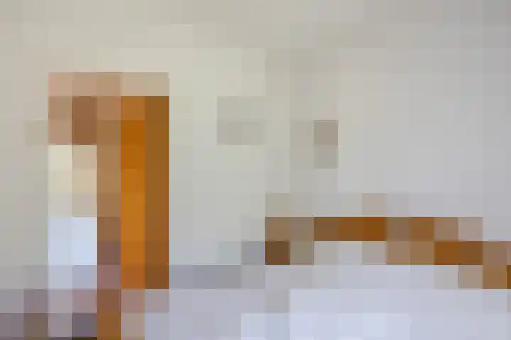 Bisschopsweg 35 Bourtange thumbnail 30