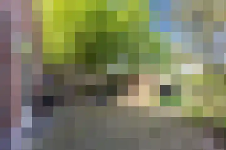 Bisschopsweg 35 Bourtange thumbnail 38