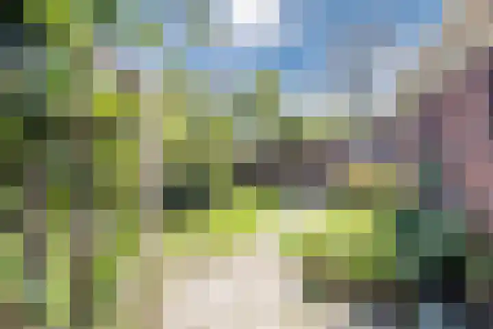 Bisschopsweg 35 Bourtange thumbnail 39