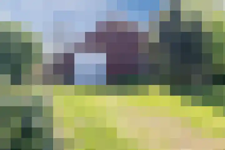 Bisschopsweg 35 Bourtange thumbnail 41