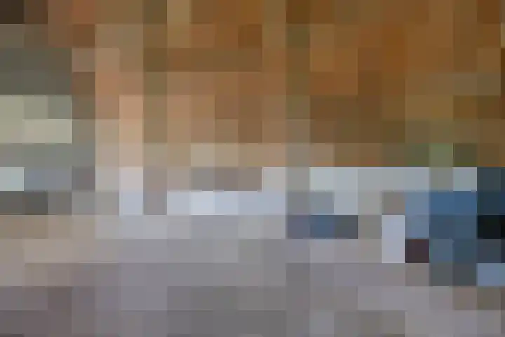 Bisschopsweg 35 Bourtange thumbnail 45