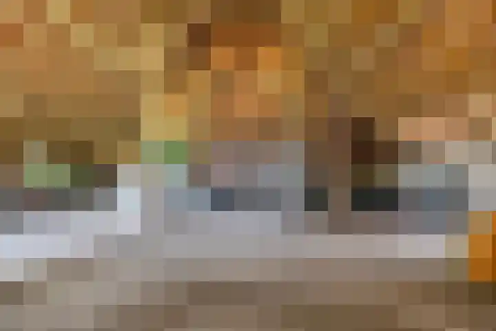 Bisschopsweg 35 Bourtange thumbnail 46