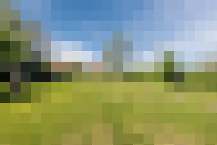Bisschopsweg 35 Bourtange thumbnail 47