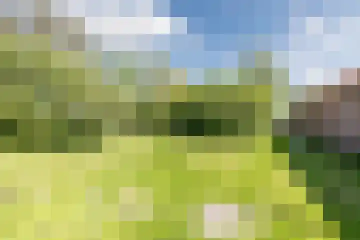 Bisschopsweg 35 Bourtange thumbnail 48