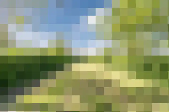 Bisschopsweg 35 Bourtange thumbnail 49