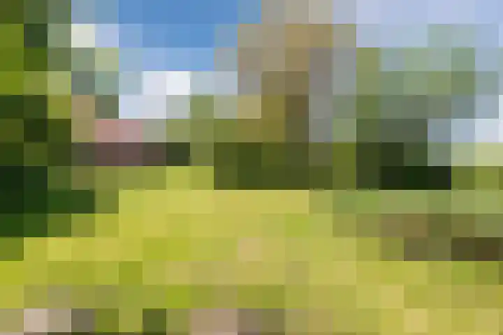 Bisschopsweg 35 Bourtange thumbnail 50