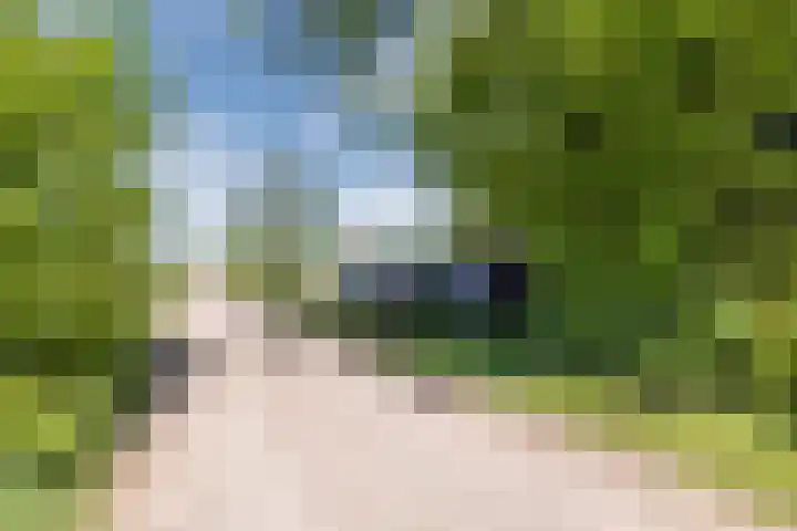 Bisschopsweg 35 Bourtange thumbnail 53
